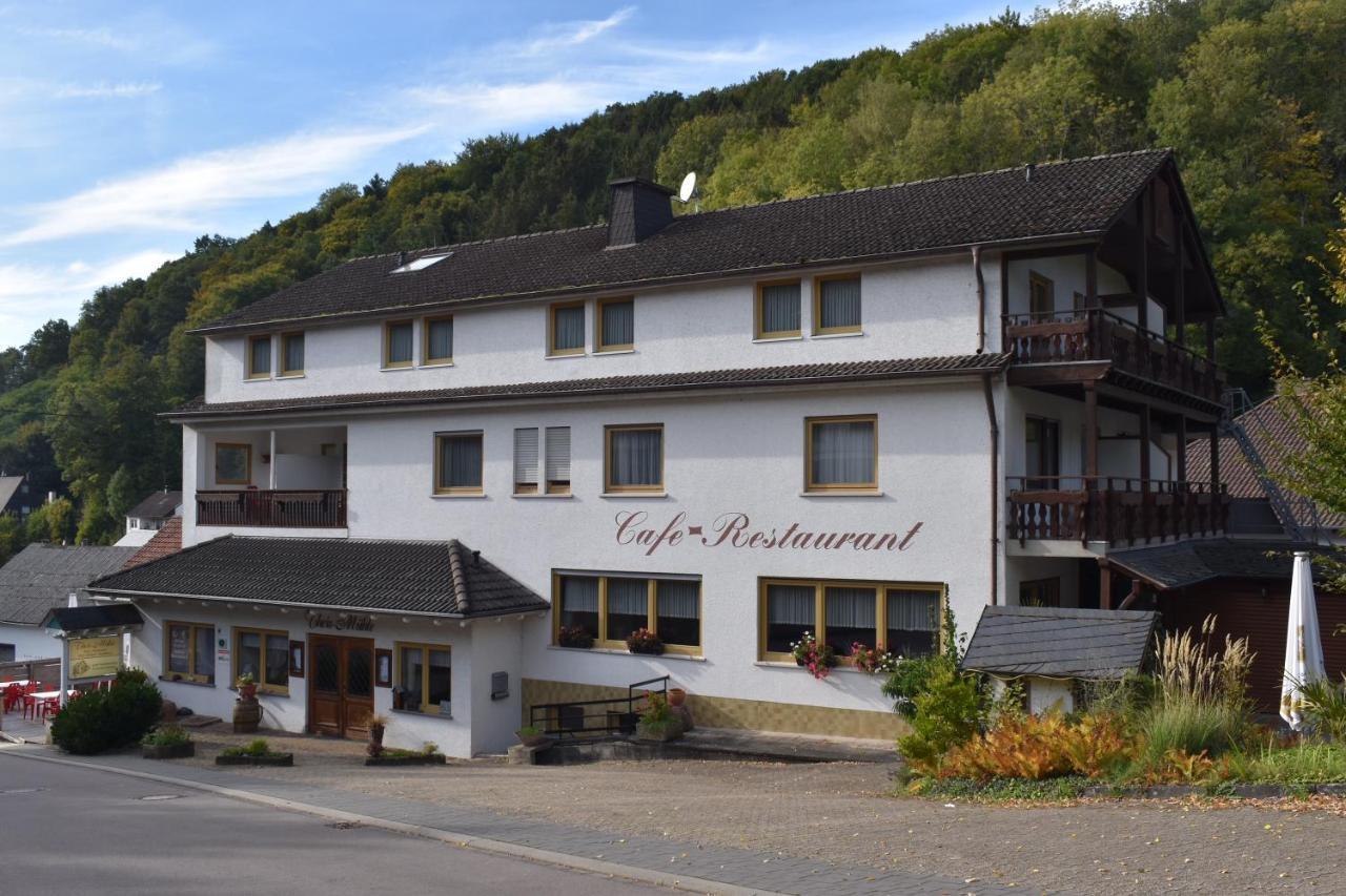 Hotel-Restaurant Theis-Muehle Biersdorf 외부 사진