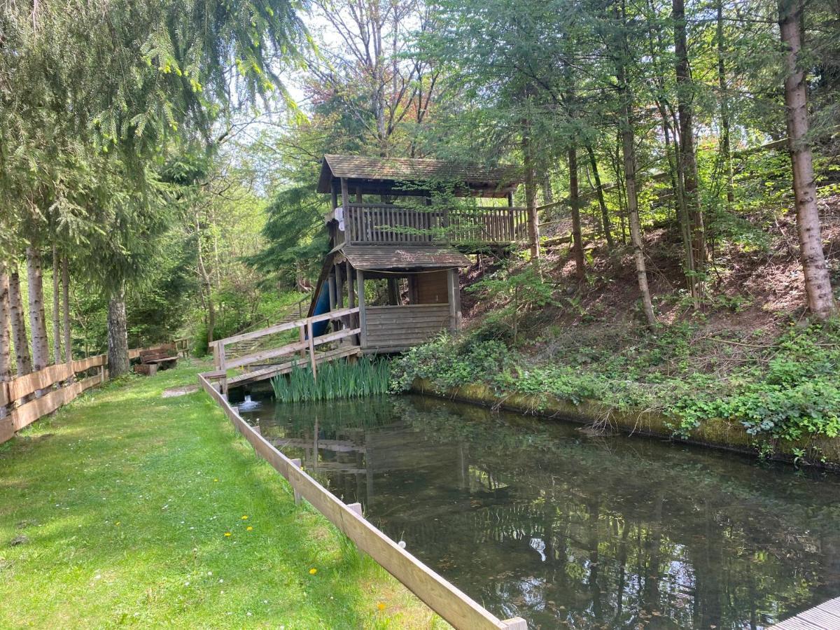 Hotel-Restaurant Theis-Muehle Biersdorf 외부 사진